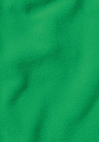 Tessuto in pile verde con una superficie morbida e testurizzata, che presenta lievi variazioni di tonalità e una caduta fluida.