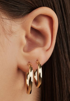 Earrings - gold