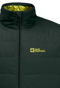 Jack Wolfskin ATHER JKT M - Piumino - black olive   firefly