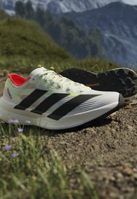 Ανοιχτόχρωμα παπούτσια Adidas Terrex για trail running με μαύρες ρίγες σε χωμάτινο μονοπάτι με γρασίδι και βουνά στο φόντο.
