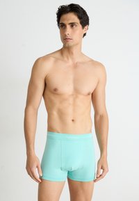 Világoskék pamut boxeralsó, testhezálló kialakítással. Puha derékrésszel rendelkezik, amelyen a "Calvin Klein" logó található. Simasága és mintázat nélküli jellege kiemeli.