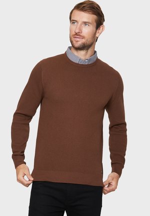 Threadbare ALEXANDER - Strickpullover - auburn