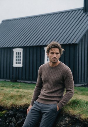Felix Hardy, CREW NECK PULLOVER - Jersey de punto - brown