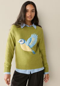Pull vert en tricot avec un motif d'oiseau bleu et jaune sur le devant. Porté par-dessus une chemise à col bleu clair. Tissu texturé.