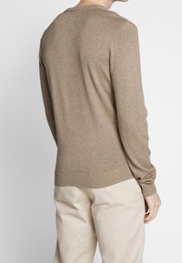 Pull en tricot marron à manches longues, col rond et ourlet en côtes. Porté avec un pantalon beige clair, montrant un dos texturé.