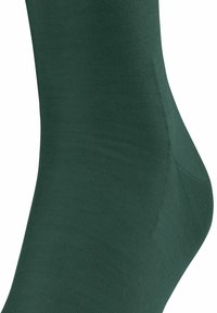 FALKE CLIMAWOOL - Calzettoni - hunter green