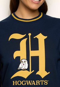 Persona che indossa un sudore blu navy con una grande "H" gialla, un gufo bianco che tiene una lettera e il testo "Hogwarts" sotto.