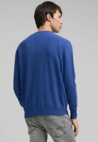 Maglione azzurro lavorato a maglia con scollo rotondo e maniche lunghe, caratterizzato da una texture liscia e un taglio aderente. La vista posteriore mostra la semplicità del design.