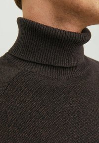 Jack & Jones JJEHILL ROLL NECK - Maglione - seal brown