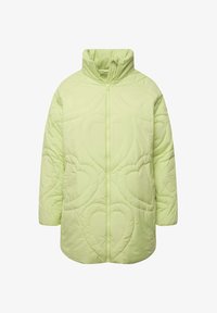 Nevybráno, light sage