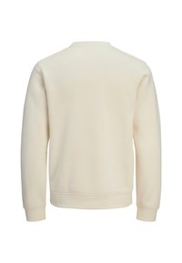 Sudadera beige con cuello redondo, mangas largas, puños acanalados y textura suave. Diseño simple, sin patrones ni detalles adicionales.
