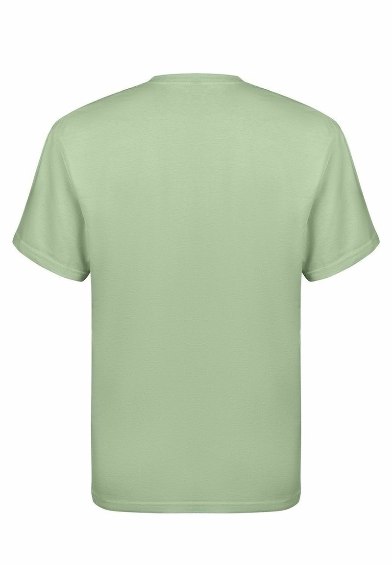rockshirts DION YOUNG POSING T-shirt print green/groen