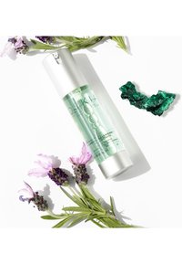 Concentrato di pulizia verde chiaro in una bottiglia trasparente con tappo argentato. Circondato da accenti di lavanda e minerali verdi.