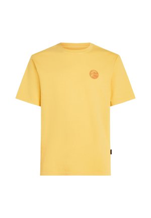 O'Neill VINTAGE GRAPHIC - T-shirt print - golden haze