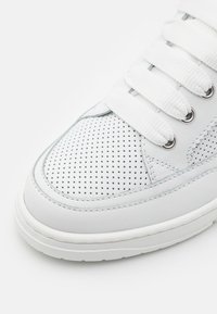 Candice Cooper VELANIE ZIG - Baskets basses - white/silver