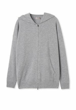 Hellegraue Zip-Hoodie aus weichem Stoff mit Kapuze, langen Ärmeln und zwei vorderen Taschen; zeichnet sich durch gerippte Bündchen und Saum aus.