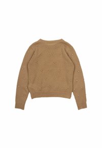 Brązowy sweter dziany z okrągłym dekoltem, zdobiony teksturowym wzorem i małymi ozdobami równomiernie rozmieszczonymi na powierzchni.
