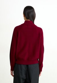 Obey Clothing FRANKIE TRACK - Cardigan - wine