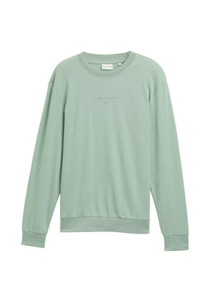 Sudadera verde claro hecha de una tela suave, con cuello redondo, mangas largas y un pequeño logotipo impreso en el frente.