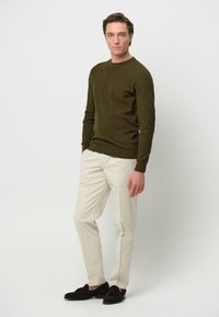 PROFUOMO THE STRUCTURE BASIC CREW - Stickad tröja - dark green