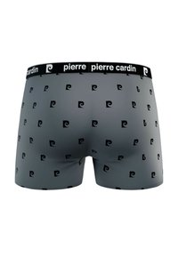 Boxers gris avec un motif répétitif de logos noirs, munis d'une ceinture noire affichant "pierre cardin" en texte blanc.
