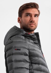 Grijze gewatteerde jas met een capuchon heeft een quilted ontwerp, een gladde textuur en rode accenten. Inclusief een merkembleem op de mouw.
