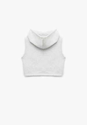 Grijze, korte hoodie met een zachte textuur, voorzien van een ronde capuchon en zonder mouwen. De zoomlijn is recht en de stof lijkt glad.