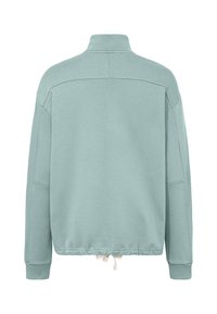 Lichtgroene lange mouwen sweatshirt met geribde manchetten, hoge kraag en verstelbare trekkoordzoom, achteraanzicht op een witte achtergrond.