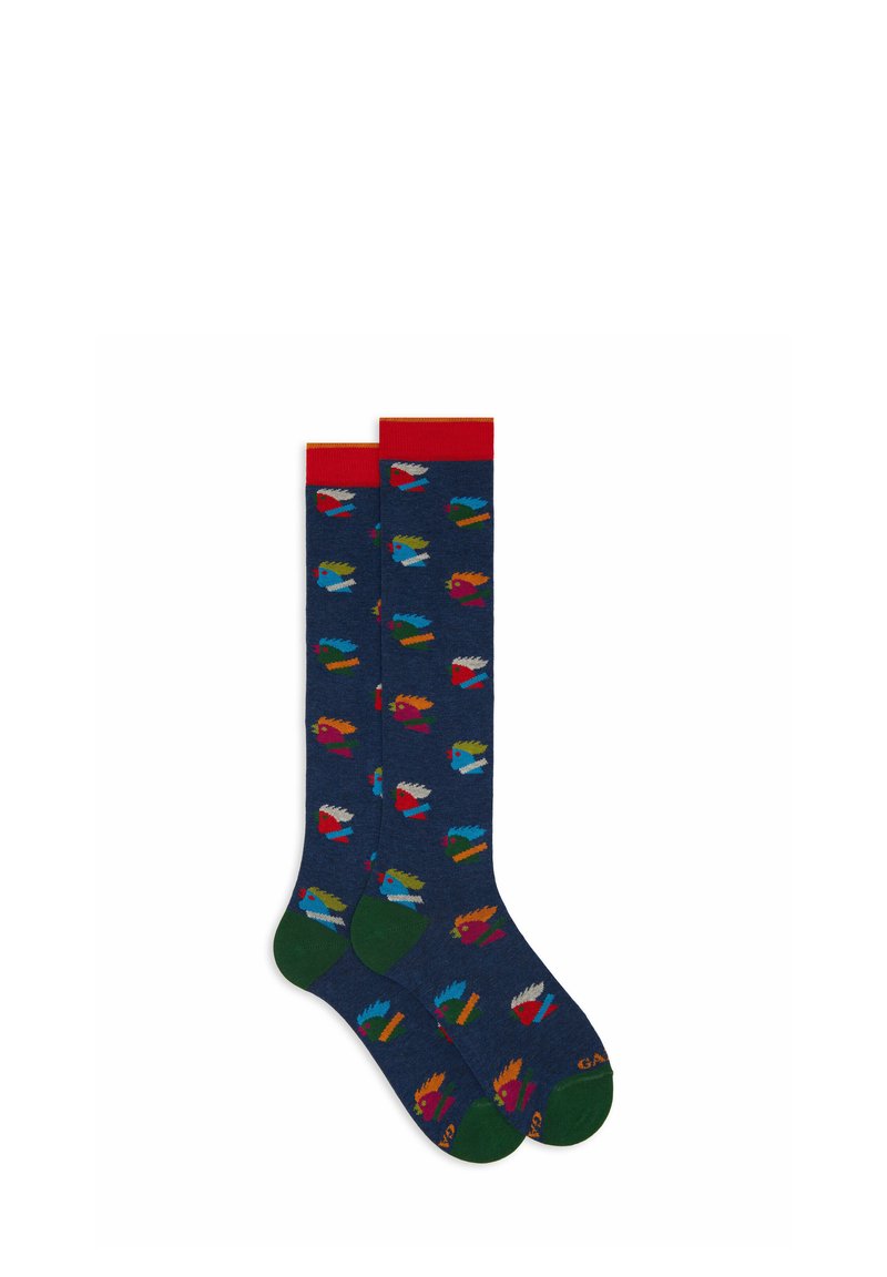 Calze al ginocchio di colore blu navy con un motivo colorato di uccelli, bordatura rossa in cima e dettagli verdi sul piede. Realizzate in morbido materiale tessile.