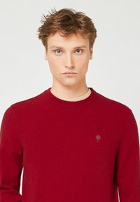 Maglione rosso a maglia con scollatura tonda e polsini a coste. Presenta un piccolo logo ad albero ricamato sul petto. Texture morbida e vestibilità classica.