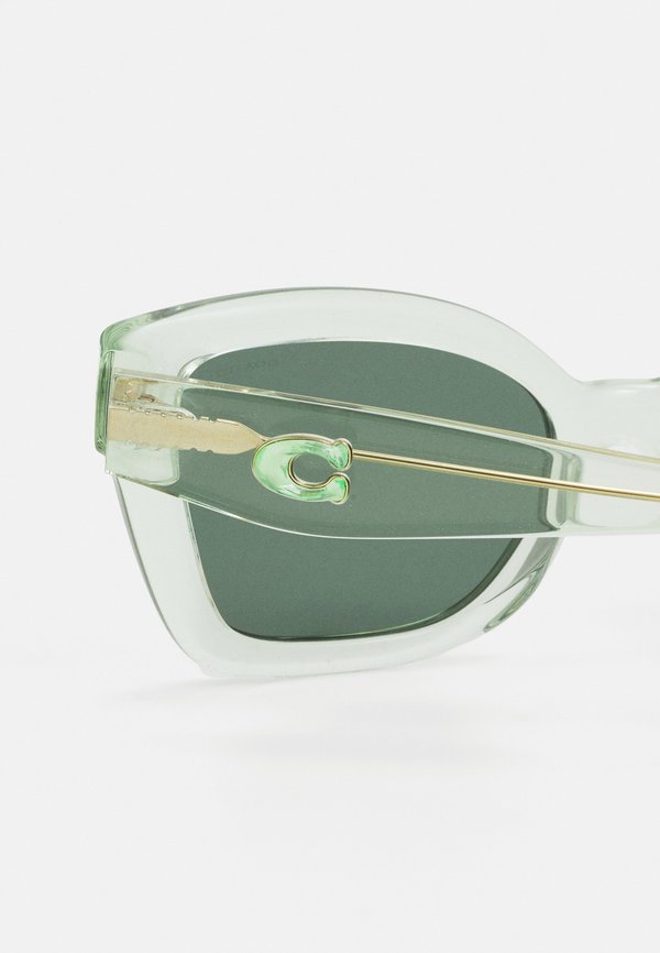 Sunglasses - transparent pistachio4