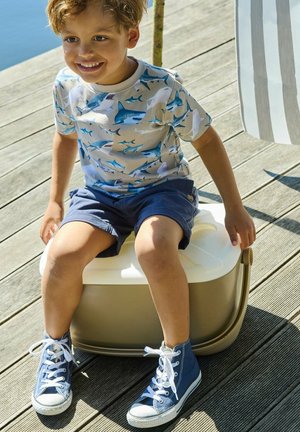 Ragazzo giovane con maglietta con stampa di squalo e pantaloncini blu seduto su una borsa termica su un ponte di legno alla luce del sole, sorridente e guardando altrove.