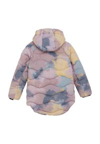 Color Kids ALL OVER - Snowboardjacka - antler
