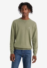 Olijfgroene pullover trui met ribgebreide hals en manchetten. Gekocht met blauwe denim, met een klein logo op de borst. Zachte textuur.