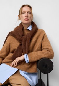 Pull en laine marron superposé sur une chemise bleu clair, avec une écharpe marron assortie. Le fond est blanc uni, mettant en valeur les tissus.