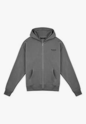 Pegador ALCHAR - Zip-up sweatshirt - washed cool grey