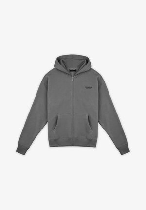 Pegador ALCHAR - Felpa con zip - washed cool grey