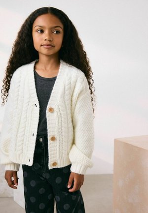 Next, CABLE - Gilet - oatmeal