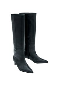 Knöchelhohe schwarze Lederstiefel mit schlankem Design, spitzem Zehenbereich, kleinem Absatz und einem seitlichen Reißverschluss zum Verschließen. Glatte Textur mit minimalen Details.