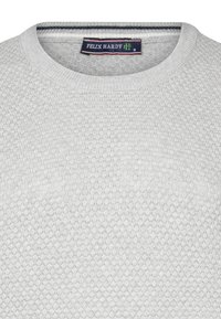 Felix Hardy CREW NECK  - Maglione - grey