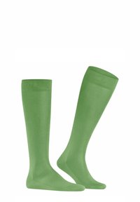 Calze verdi alte fino al ginocchio realizzate in tessuto liscio e elastico, con un bordo superiore a coste e una punta rinforzata. Nessun motivo o accento visibile.