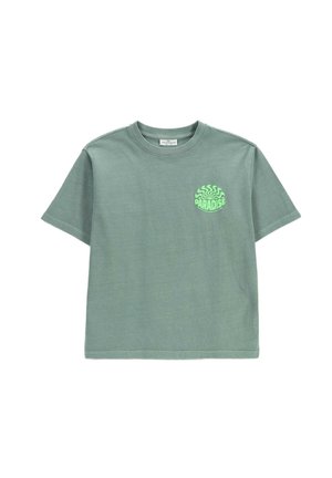 Coccodrillo, - T-shirt z nadrukiem