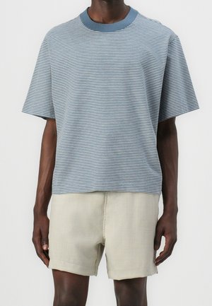 Mand iført en blå og hvid tyndstribet kortærmet skjorte med lyse beige shorts mod en ensfarvet baggrund.