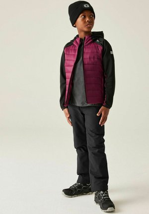 Regatta, REGATTA KIELDER IX PADDED HYBRID JACKET HYBRID JACKETS - Giacca invernale - burgundy