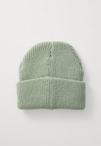 Căciulă tricotată de culoare verde moale, cu un tiv pliat și textură ribbed. Designul este simplu, fără modele sau embellismente suplimentare.