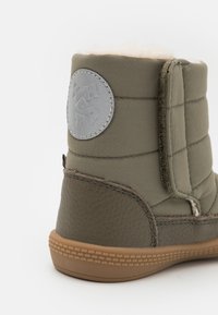 Wheat DELANEY - Ziemas zābaki - dry pine