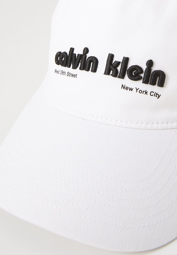 6 PANEL GRAPHIC - Cap4