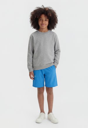 adidas Terrex Αθλητικό σορτς - ray blue