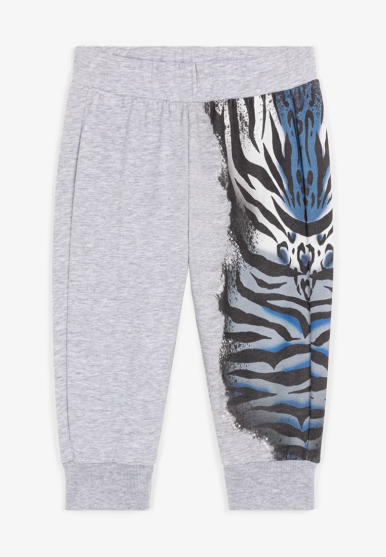 Roberto Cavalli Junior Trainingsbroek grijs Roberto Cavalli Junior Trainingsbroek grijs