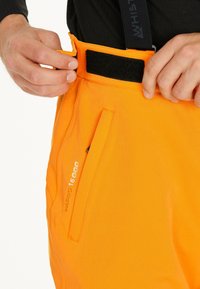 Whistler GIPPSLANG - Skihose - turmeric